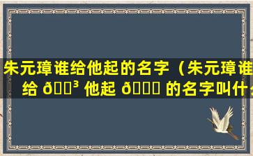 朱元璋谁给他起的名字（朱元璋谁给 🐳 他起 🐋 的名字叫什么）